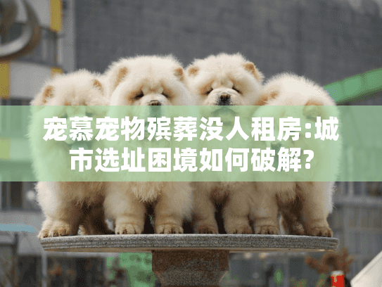 宠慕宠物殡葬没人租房:城市选址困境如何破解?