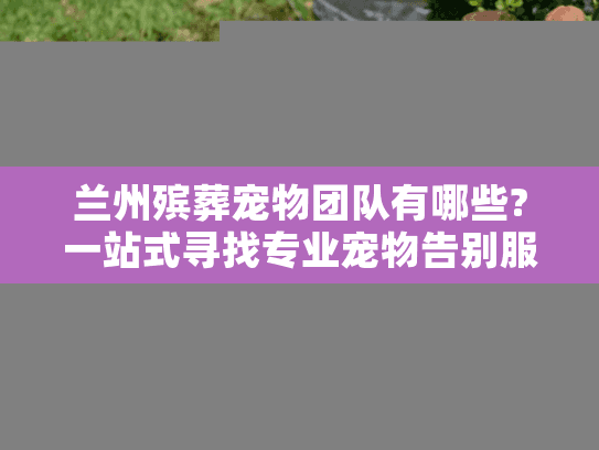兰州殡葬宠物团队有哪些?一站式寻找专业宠物告别服务
