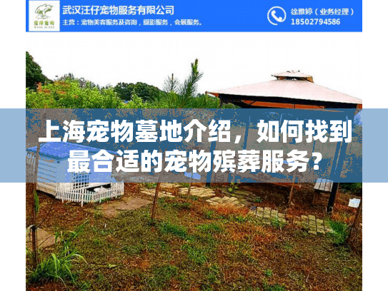 上海宠物墓地介绍，如何找到最合适的宠物殡葬服务？