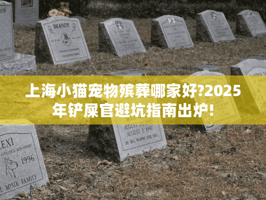上海小猫宠物殡葬哪家好?2025年铲屎官避坑指南出炉!
