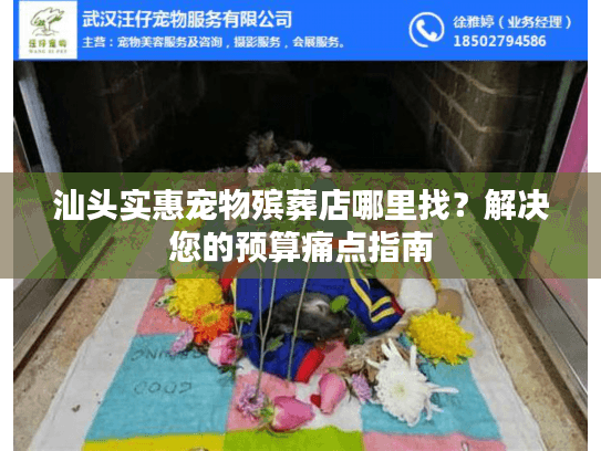 汕头实惠宠物殡葬店哪里找？解决您的预算痛点指南