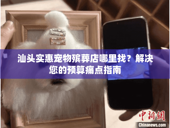 汕头实惠宠物殡葬店哪里找？解决您的预算痛点指南