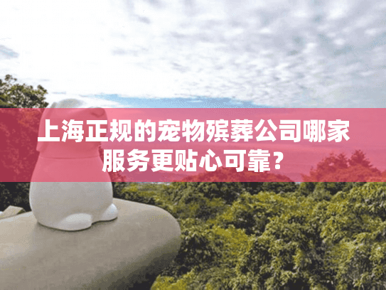 上海正规的宠物殡葬公司哪家服务更贴心可靠？