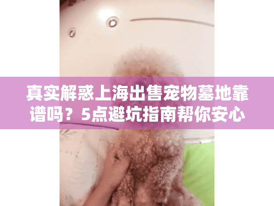 真实解惑上海出售宠物墓地靠谱吗？5点避坑指南帮你安心安葬