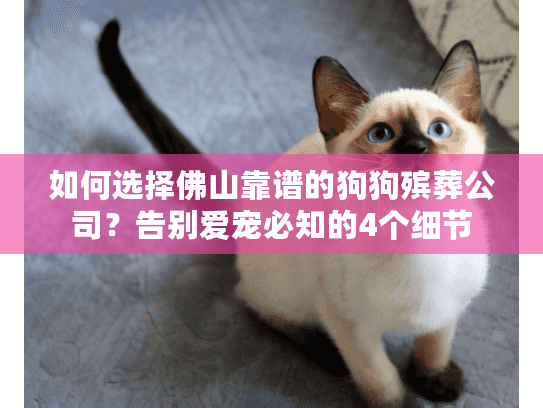 如何选择佛山靠谱的狗狗殡葬公司？告别爱宠必知的4个细节