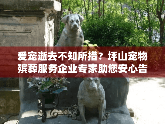 爱宠逝去不知所措？坪山宠物殡葬服务企业专家助您安心告别
