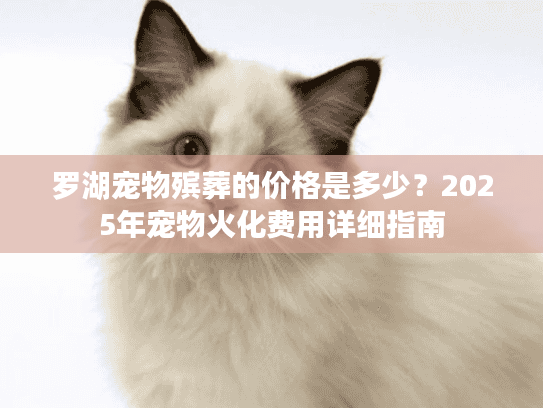 罗湖宠物殡葬的价格是多少？2025年宠物火化费用详细指南