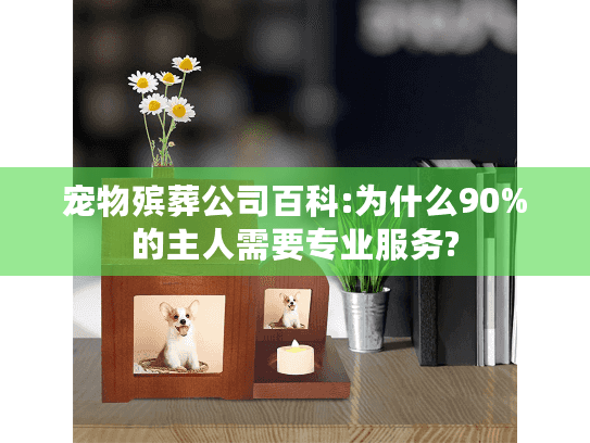 宠物殡葬公司百科:为什么90%的主人需要专业服务?