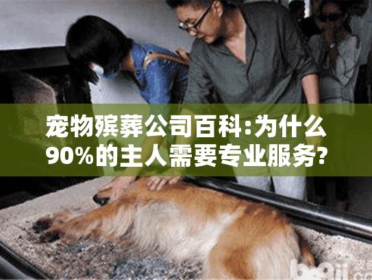 宠物殡葬公司百科:为什么90%的主人需要专业服务?