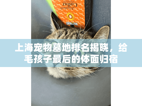 上海宠物墓地排名揭晓，给毛孩子最后的体面归宿