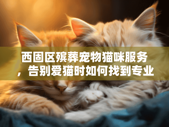 西固区殡葬宠物猫咪服务，告别爱猫时如何找到专业又温暖的解决方案？