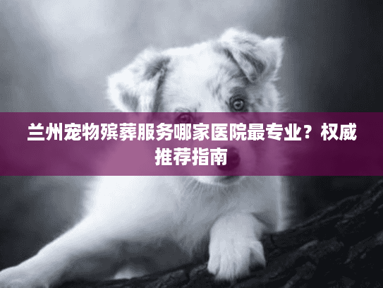 兰州宠物殡葬服务哪家医院最专业？权威推荐指南