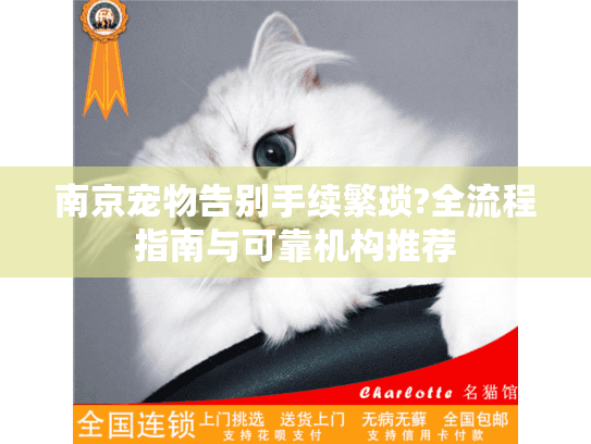 南京宠物告别手续繁琐?全流程指南与可靠机构推荐