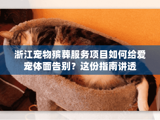 浙江宠物殡葬服务项目如何给爱宠体面告别？这份指南讲透