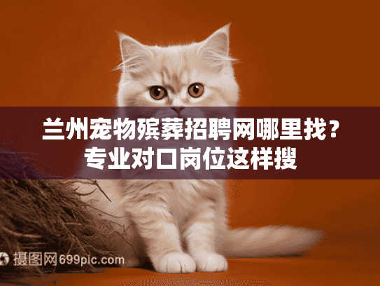 兰州宠物殡葬招聘网哪里找？专业对口岗位这样搜