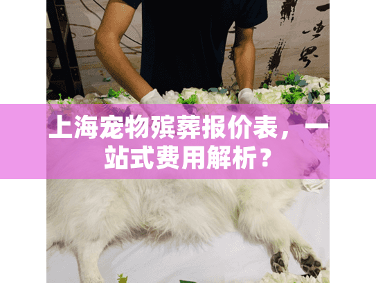 上海宠物殡葬报价表，一站式费用解析？