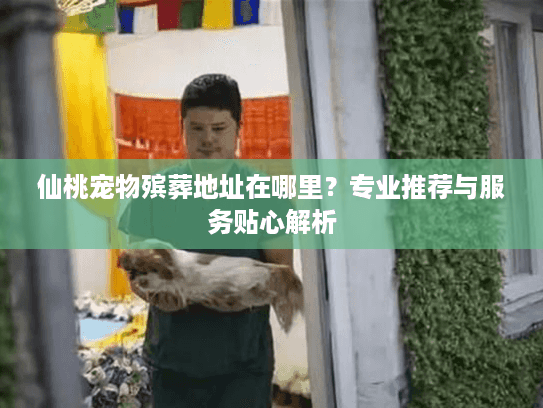 仙桃宠物殡葬地址在哪里？专业推荐与服务贴心解析