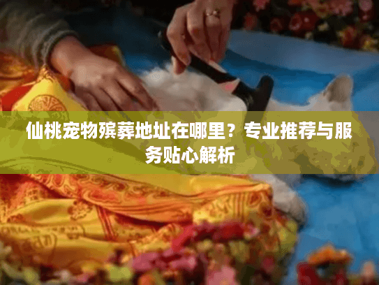 仙桃宠物殡葬地址在哪里？专业推荐与服务贴心解析