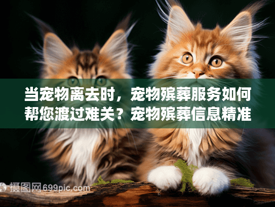 当宠物离去时，宠物殡葬服务如何帮您渡过难关？宠物殡葬信息精准解析