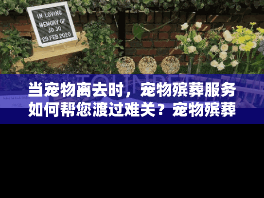 当宠物离去时，宠物殡葬服务如何帮您渡过难关？宠物殡葬信息精准解析