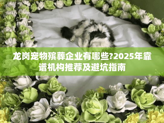 龙岗宠物殡葬企业有哪些?2025年靠谱机构推荐及避坑指南
