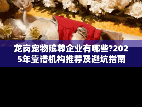 龙岗宠物殡葬企业有哪些?2025年靠谱机构推荐及避坑指南