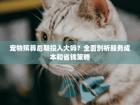 宠物殡葬后期投入大吗？全面剖析服务成本和省钱策略