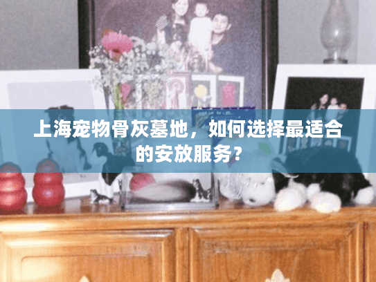 上海宠物骨灰墓地，如何选择最适合的安放服务？