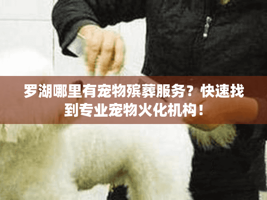 罗湖哪里有宠物殡葬服务？快速找到专业宠物火化机构！