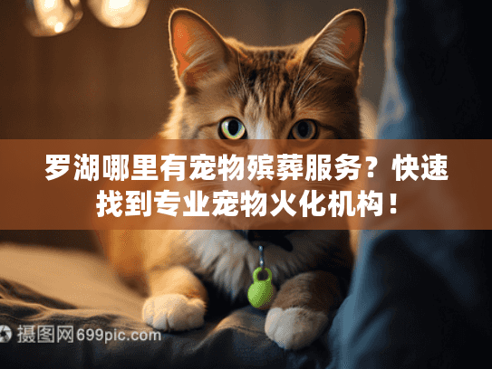 罗湖哪里有宠物殡葬服务？快速找到专业宠物火化机构！
