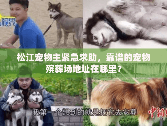 松江宠物主紧急求助，靠谱的宠物殡葬场地址在哪里？