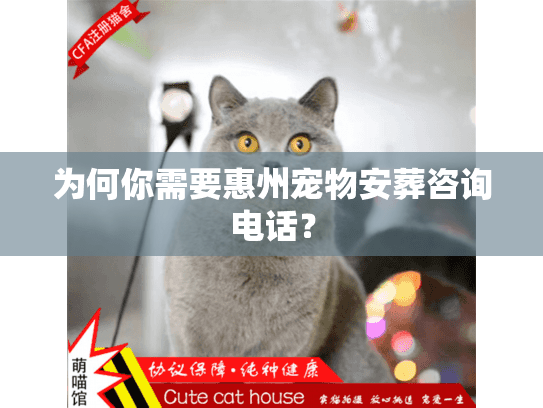 为何你需要惠州宠物安葬咨询电话？