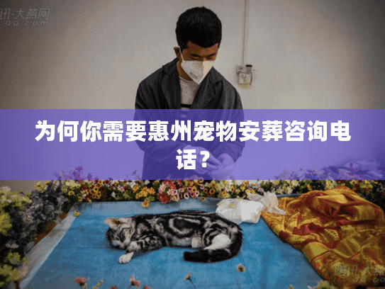 为何你需要惠州宠物安葬咨询电话？