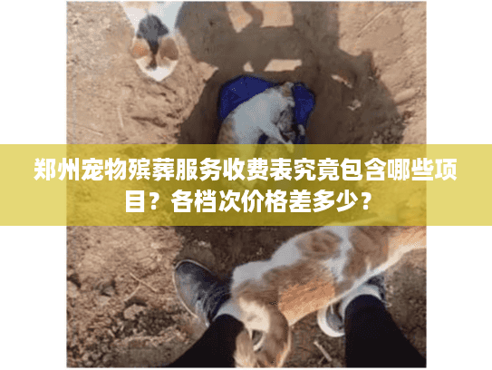 郑州宠物殡葬服务收费表究竟包含哪些项目？各档次价格差多少？