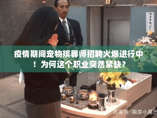 疫情期间宠物殡葬师招聘火爆进行中！为何这个职业突然紧缺？