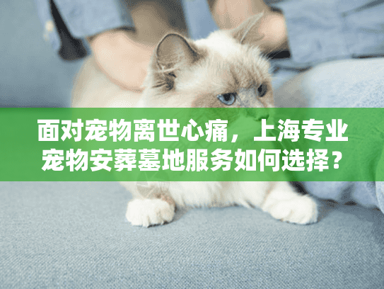 面对宠物离世心痛，上海专业宠物安葬墓地服务如何选择？