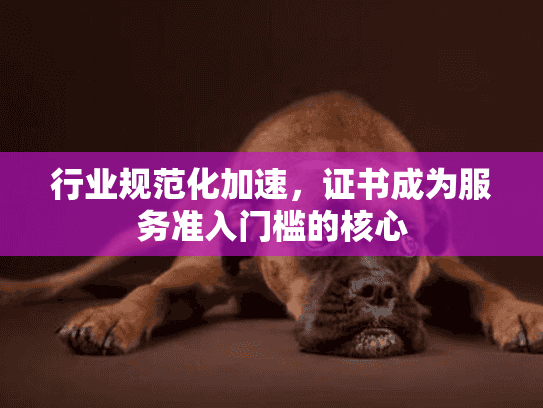 行业规范化加速，证书成为服务准入门槛的核心