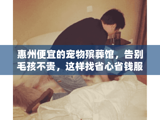 惠州便宜的宠物殡葬馆，告别毛孩不贵，这样找省心省钱服务