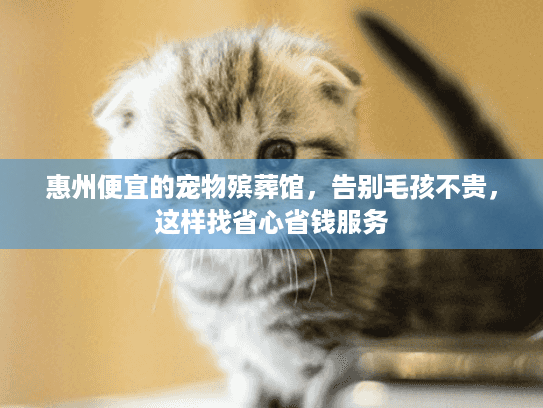 惠州便宜的宠物殡葬馆，告别毛孩不贵，这样找省心省钱服务