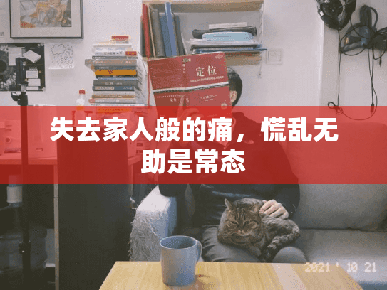 失去家人般的痛，慌乱无助是常态