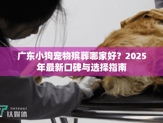 广东小狗宠物殡葬哪家好？2025年最新口碑与选择指南