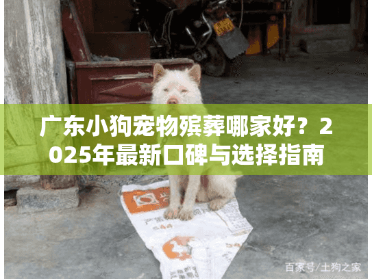 广东小狗宠物殡葬哪家好？2025年最新口碑与选择指南