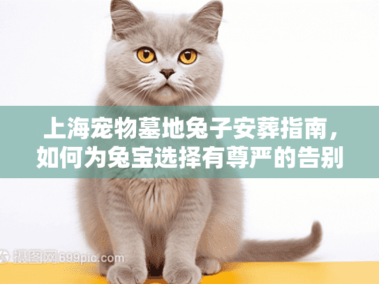 上海宠物墓地兔子安葬指南，如何为兔宝选择有尊严的告别？