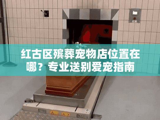红古区殡葬宠物店位置在哪？专业送别爱宠指南