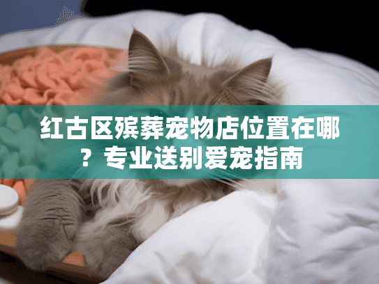 红古区殡葬宠物店位置在哪？专业送别爱宠指南