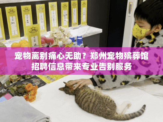 宠物离别痛心无助？郑州宠物殡葬馆招聘信息带来专业告别服务