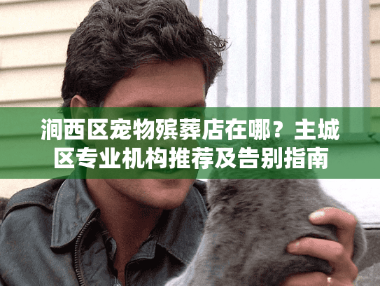 涧西区宠物殡葬店在哪？主城区专业机构推荐及告别指南