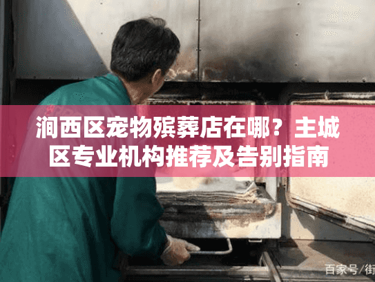 涧西区宠物殡葬店在哪？主城区专业机构推荐及告别指南
