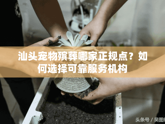 汕头宠物殡葬哪家正规点？如何选择可靠服务机构