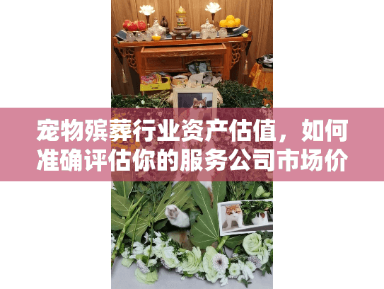 宠物殡葬行业资产估值,如何准确评估你的服务公司市场价值? 宠物殡葬行业资产估值,如何准确评估你的服务公司市场价值?